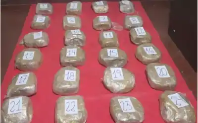 Golpe al narcomenudeo en Jujuy: 21 detenidos y un cargamento de más de 137 mil dosis