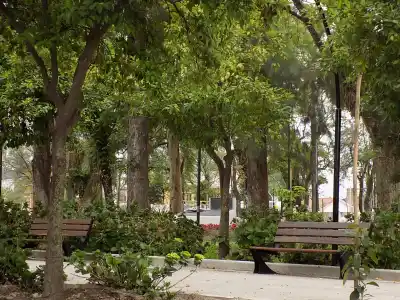Tucumán Bajo el Manto Gris: Así se Vive el Martes