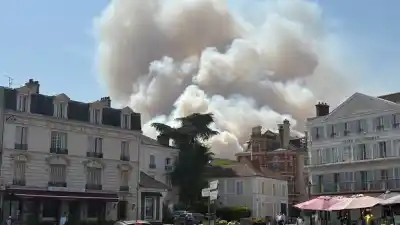 El fuego arrasa el bosque de Fontainebleau: ¿quién provocó las llamas?