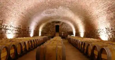 Godoy Cruz avanza con la millonaria obra que transformará el Espacio Arizu en la "Ciudad del Vino"