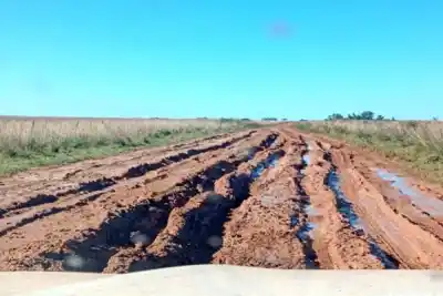 Rutas rurales en crisis: el Gobierno auditará a los consorcios camineros