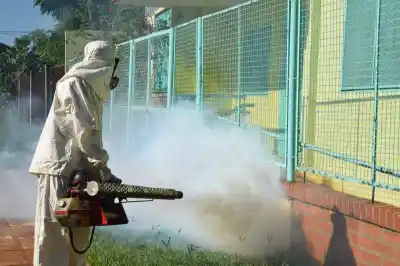 Solo un caso de dengue en Misiones: ¿qué dice el último boletín epidemiológico?