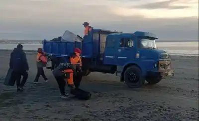 El misterio de los 750 cajones pesqueros que aparecieron en las playas de Puerto Madryn