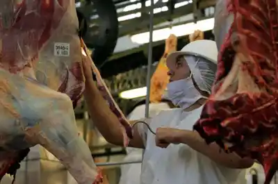 Tras 25 días de operativos, Bromatología desmiente la venta de carne de caballo: “No hay ninguna evidencia”
