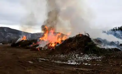 Esquel en llamas: la estrategia municipal que genera polémica y busca evitar incendios forestales