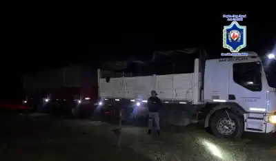 Un camión con 18 toneladas de leña fue detenido en un control y lo que descubrieron sorprendió a todos