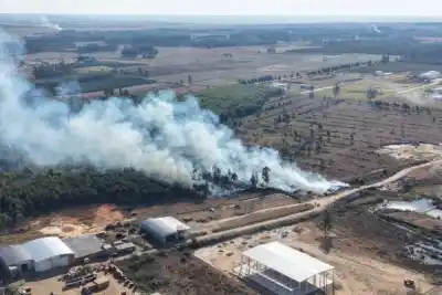 Fuego en el parque industrial: el siniestro que movilizó a cuatro dotaciones