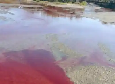 Alarma Ambiental en Monteros: El Río Pueblo Viejo se Tiñó de Rojo ¿Qué pasó?