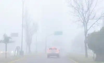 El cielo se cayó sobre Santa Rosa: la niebla paralizó la ciudad