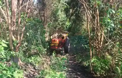 Tragedia Rural en Acheral: Un Hombre Murió Aplastado por un Tractor