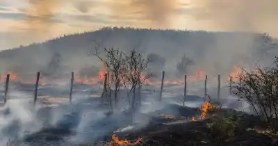 Tres detenidos por el incendio que arrasó tres hectáreas en Jáchal y amenazó una vivienda