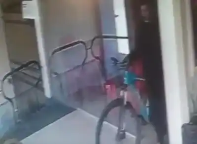 Cayó por un Robo de Bici: Lo Filmó la Cámara y Va 15 Días al Calabozo