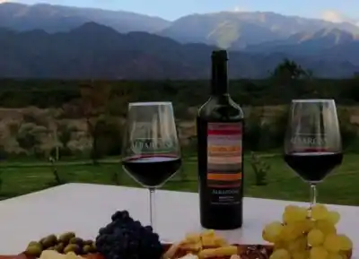 La Ruta del Vino en Tucumán, una Experiencia Única