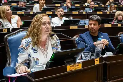 Polémica Malvinas: otra legisladora apuntó contra el Gobierno tras el triunfo argentino