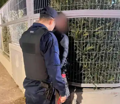 Golpeó un patrullero e insultó a los policías: lo que pasó después te va a sorprender