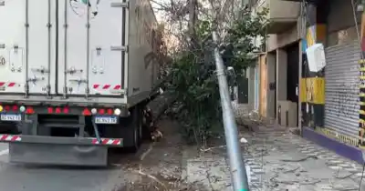 Caos en el macrocentro: un camión derribó árboles y un poste eléctrico en Santa Fe y Santiago