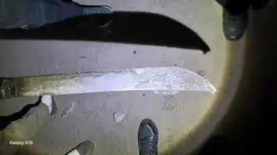 Disputa vecinal en La Leonesa: un muerto y un herido grave tras una pelea con armas blancas