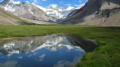 El proyecto que sacude el Senado: ¿qué cambia la nueva ley de tierras de Milei?