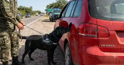 El insólito escondite que eligió un conductor para llevar cocaína y cómo lo descubrieron
