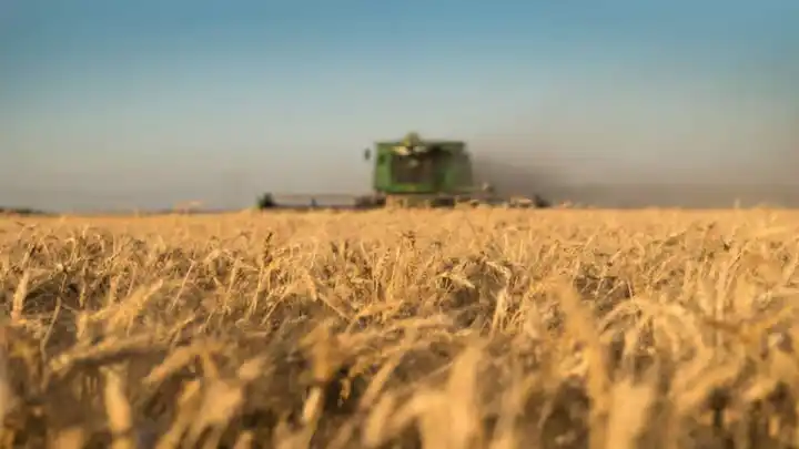 El seguro que promete cambiarle la vida a los pequeños productores de maíz en Entre Ríos