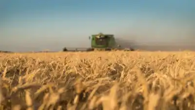 El seguro que promete cambiarle la vida a los pequeños productores de maíz en Entre Ríos