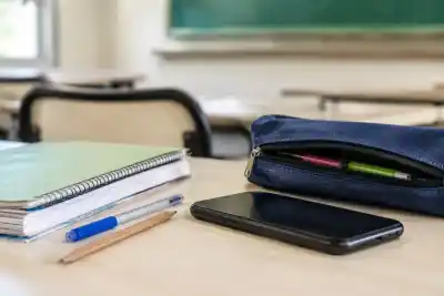 El dato que descoloca: Misiones, entre las provincias con menos chicos de 8 años con celular propio