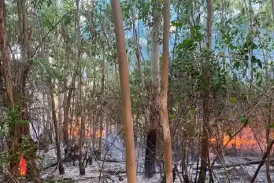 Tres incendios en una tarde: el peligro que acecha a Saladas