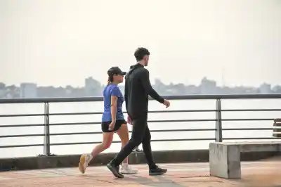 Alerta amarilla por viento en Misiones: ráfagas de hasta 70 km/h amenazan el fin de semana