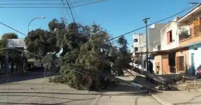 El viento Zonda azota Jujuy y deja sin luz a varios barrios: qué pasó