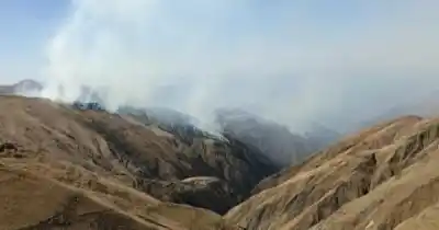 Incendio descontrolado en el norte salteño: el fuego arrasa cerros y deja animales muertos