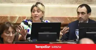El proyecto que preocupa a Gadano: sin límites para la compra de tierras por extranjeros