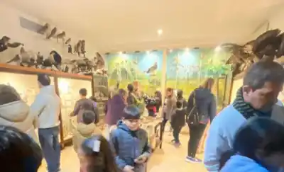 El museo que sorprendió a todos: más de 1200 visitantes en una semana