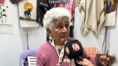 El legado que nadie puede borrar: la artesana que desafía el dolor y el tiempo en la Fiesta del Poncho