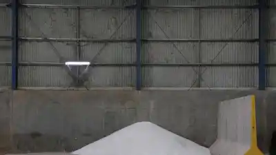 Pampa Energía pone US$ 2.700 millones en una planta de fertilizantes que cambiará el campo