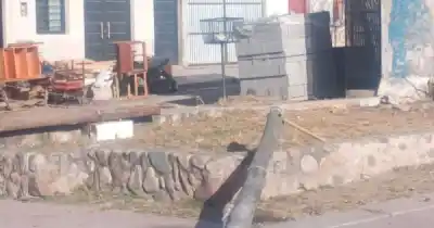 Ráfagas furiosas en Palpalá: árboles caídos, techos volados y un peligro que acecha en cada esquina