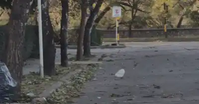 Vientos de hasta 100 km/h: las zonas de Jujuy donde el Zonda no da tregua