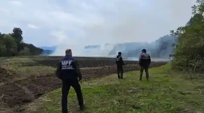 Combate a las quemas: Un detenido en Sargento Moya por Incendio Intencional