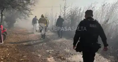 Salta en vilo: el viento Zonda no afloja y los incendios ponen en jaque a la provincia