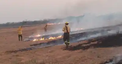 El 99% de los incendios en Jujuy los provoca el hombre: la cifra que preocupa al Ministerio