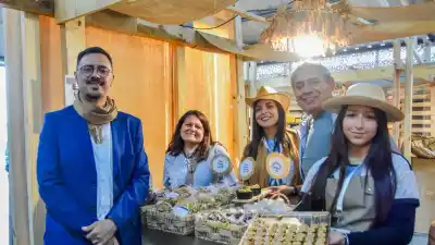 El renovado pabellón que promete ser el más visitado del Poncho 2026