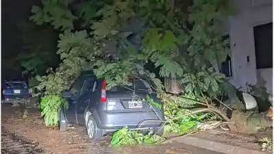 Temporal en Entre Ríos: el operativo de emergencia que busca recuperar los servicios