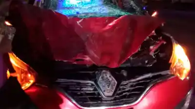 Choque contra un caballo en Av. Independencia: el animal desapareció y la conductora quedó en shock