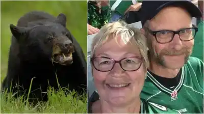 Pesca mortal en Canadá: una pareja de jubilados fue atacada por un oso en su cabaña
