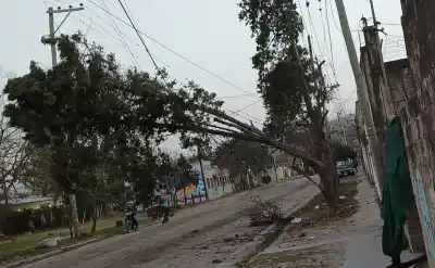 Viento Zonda histórico en Jujuy: el drama de 5.000 familias sin luz y la promesa de EJESA para el domingo