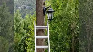 El invento patagónico que enciende la luz pública solo cuando la pedís desde el celular