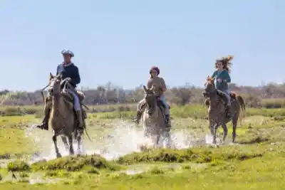 Tradición y pasión gaucha en Yatay Ti Calle: llega el XIV Encuentro de Jinetes con una sorpresa mundialista
