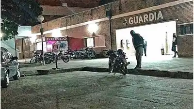 Un pino gigante cayó sobre su casa y la tragedia no dio respiro: murió una mujer de 66 años en Osvaldo Magnasco