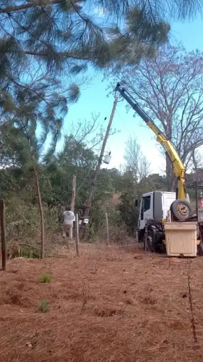 Viento devastador en Misiones: refuerzan cuadrillas y el caos eléctrico continúa