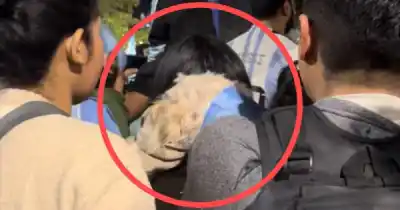 La viral queja en Jujuy: el pedido desesperado de algunos vecinos para los festejos