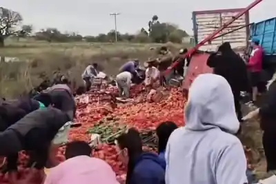 Se le dio vuelta el acoplado en la ruta y lo que pasó después dejó a todos sin palabras